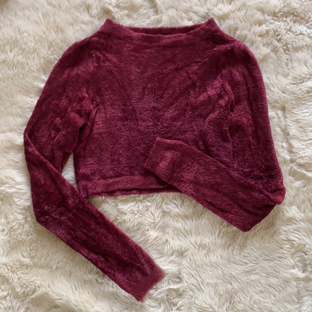 Women’s XS Velvet Long Sleeve Crop Top